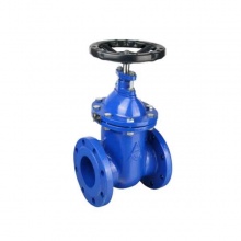 埃美柯鑄鐵閘閥6157B鐵制法蘭暗桿閘閥Z45T-16 DN100